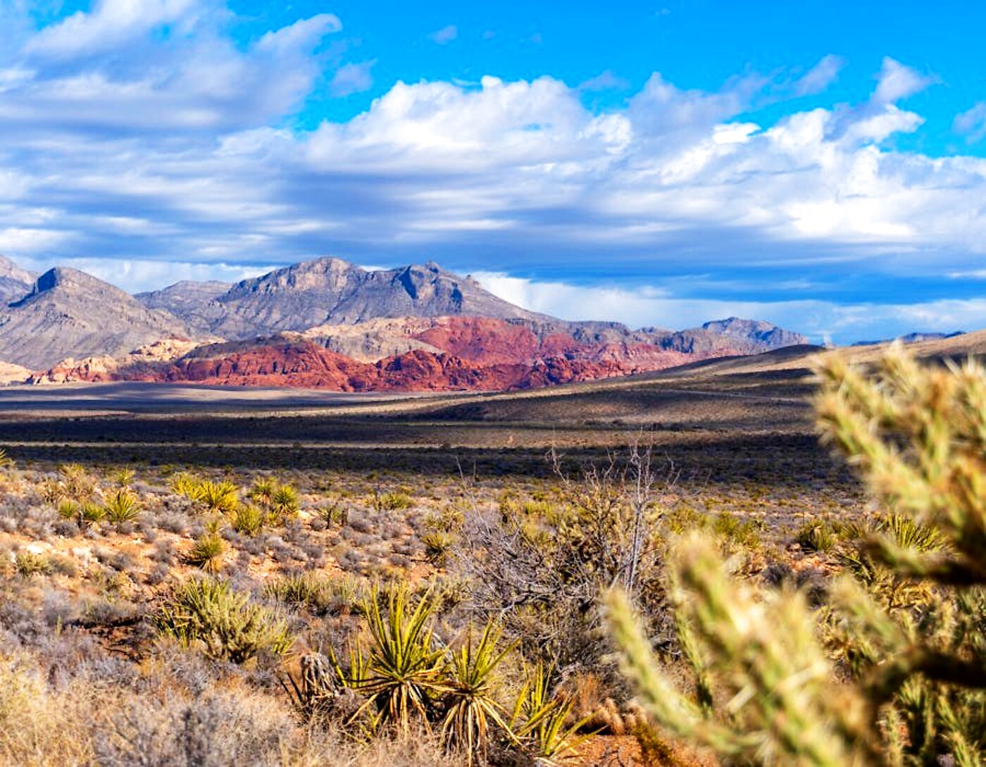 Northwest Las Vegas near Red Rock & Mt. Charleston