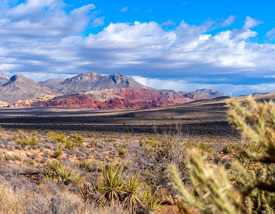 Northwest Las Vegas near Red Rock & Mt. Charleston